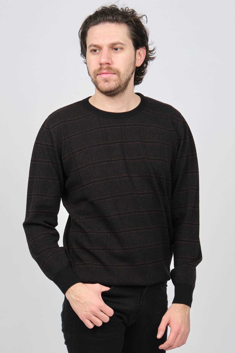 Desen Triko Erkek Bisiklet Yaka Desenli Saf Yün Kazak 0246568 Kahverengi Kahverengi