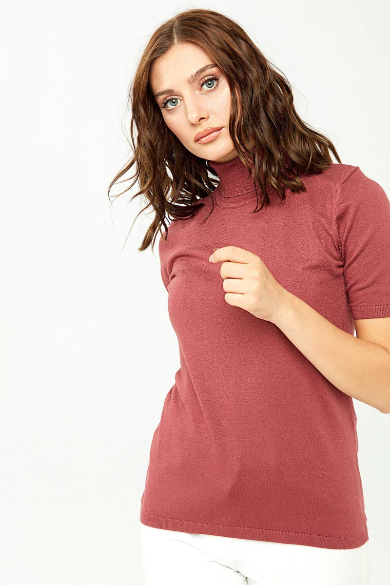 Desen Triko Kadın Likralı Kısa Kollu Tam Balıkçı Bluz 20346 Gül Kurusu GÜL KURUSU