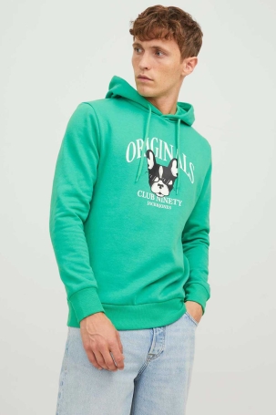 Jack & Jones Erkek Beware Baskılı Kapüşonlu Sweatshirt 12244219 Yeşil Yeşil