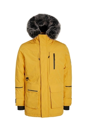 Jack & Jones Erkek Exped Kapüşonlu Parka 12215576 Sarı Sarı