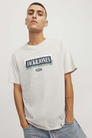 Jack & Jones Erkek Jorcobın Baskı ve Yazı Detaylı Bisiklet Yaka T-Shirt 12250411 Taş Taş