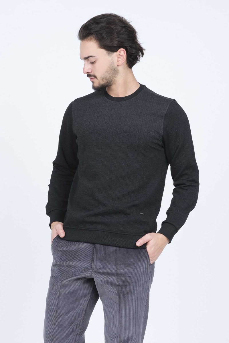 Raymons Erkek Desenli Bisiklet Yaka Triko Sweat 6782267 Siyah Siyah
