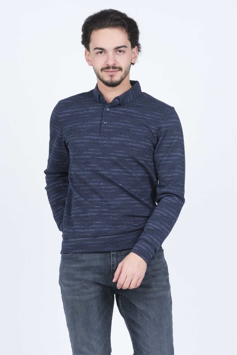 Raymons Erkek Desenli Polo Yaka Triko Sweat 6782273 Indigo Indigo